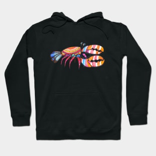 crustacean with vivid colors in itself Hoodie